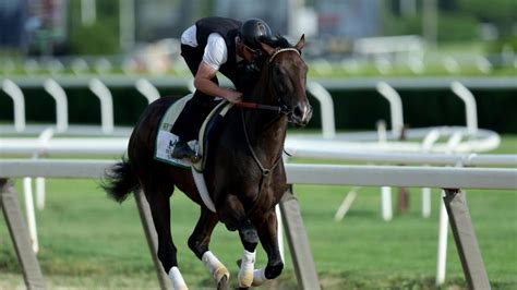 2022 Belmont Stakes horses, contenders, odds, date: Expert who .
